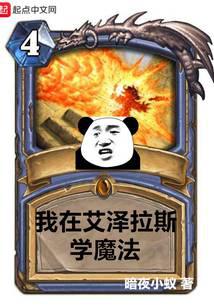 我在艾泽拉斯学魔法